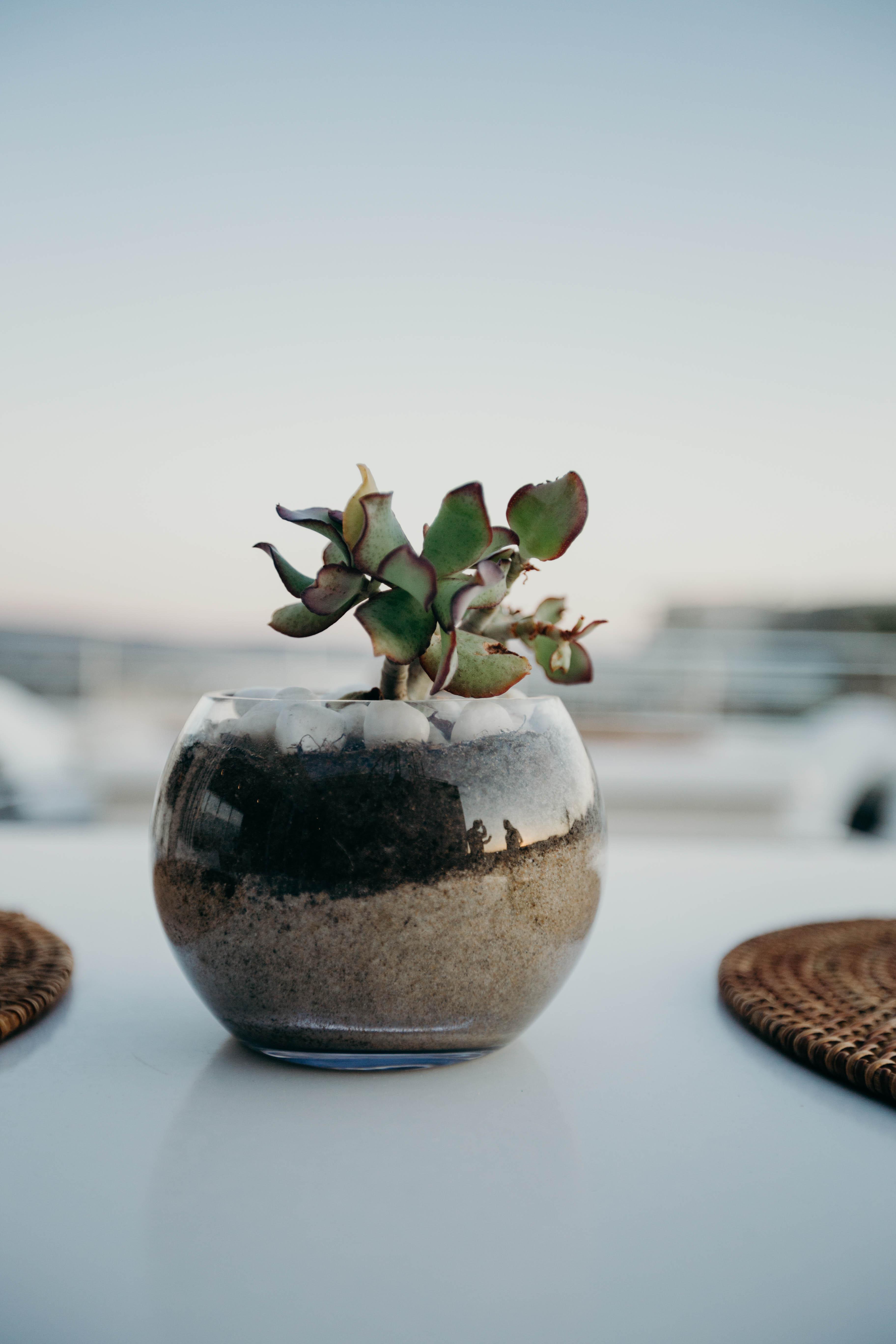 The Robberg Beach Lodge - Lion Roars Hotels & Lodges Plettenberg Bay Luaran gambar