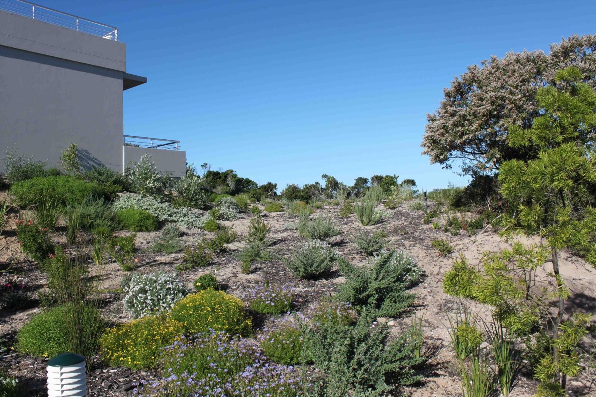 The Robberg Beach Lodge - Lion Roars Hotels & Lodges Plettenberg Bay Luaran gambar